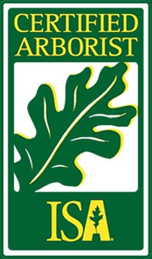 Certified Arborist Dallas