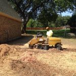 Stump Grinding