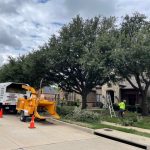 Tree Trimming Colleyville